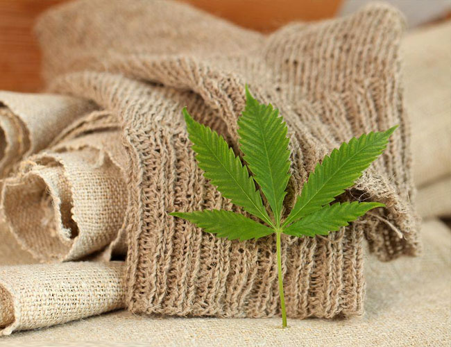 Hemp Fabric: An Ancient Textile with a Bright Future. | G&F